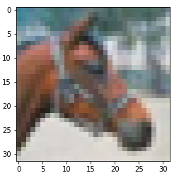 horse